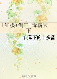 小说：[红楼+剑三]毒霸天下，作者：夜幕下的卡多雷