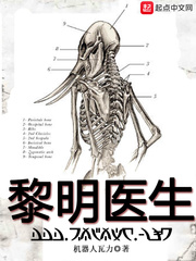 小说：黎明医生，作者：机器人瓦力