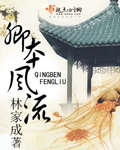 小说：卿本风流，作者：林家成