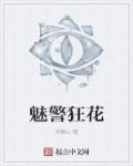 小说：魅警狂花，作者：无隅山