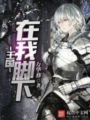 小说：王国在我脚下，作者：万华葬