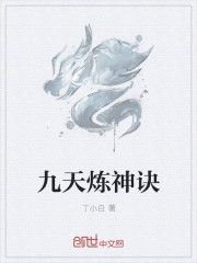小说：九天炼神诀，作者：丁小白