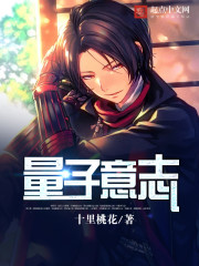 小说：量子意志，作者：十里桃花