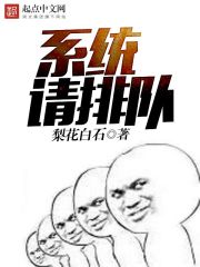 小说：系统请排队，作者：梨花白石