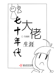 小说：七十年代大佬生涯，作者：凤栖桐