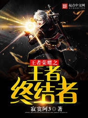 小说：王者荣耀之王者终结者，作者：寂寞阿3