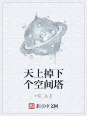 小说：天上掉下个空间塔，作者：冰原三雅