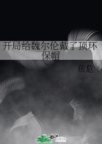 小说：开局给魏尔伦戴了顶环保帽，作者：鱼危