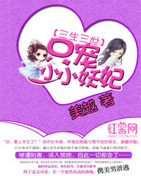 小说：三生三世：只宠小小妖妃，作者：美越
