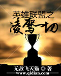 小说：英雄联盟之凌驾一切，作者：无敌飞天猫