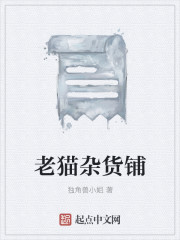 小说：老猫杂货铺，作者：独角兽小姐