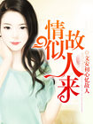 小说：两个人的前世今生：情似故人来，作者：文安初心忆故人