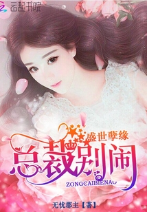 小说：盛世孽缘：总裁，别闹！，作者：无忧郡主