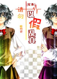 小说：[家教]请勿以假乱真！，作者：砂时计
