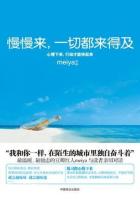 小说：慢慢来，一切都来得及，作者：meiya