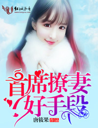 小说：首席撩妻，好手段，作者：唐筱果