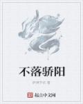 小说：不落骄阳，作者：碎屏手机