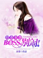 小说：甜妻来袭：BOSS，别闹！，作者：沫果