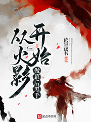 小说：从火影开始做幕后黑手，作者：浓墨浇书