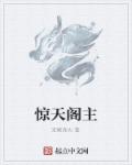 小说：惊天阁主，作者：无尾赤火