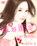 小说：暖婚蜜爱之豪门谜情风云，作者：柒艾堇