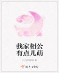 小说：我家相公有点儿萌，作者：八月的黎明