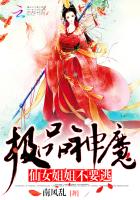 小说：极品神魔：仙女姐姐不要逃，作者：南风乱