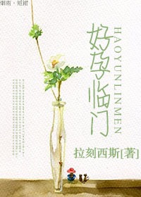 小说：好孕临门，作者：拉刻西斯