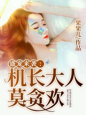 小说：盛宠来袭：机长大人莫贪欢，作者：果果儿