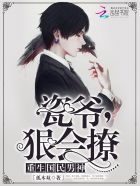 小说：重生国民男神：瓷爷，狠会撩！，作者：孤木双