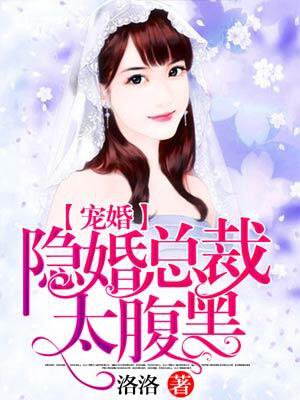 小说：宠婚：隐婚总裁太腹黑，作者：洛洛i