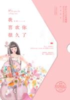 小说：我喜欢你很久了，作者：夜蔓
