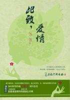 小说：此致，爱情，作者：苏格兰折耳猫