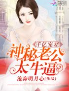 小说：千亿宠妻：神秘老公，太牛逼！，作者：沧海明月心