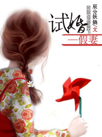 小说：试婚假妻，作者：辰分妖娆