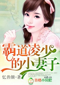 小说：霸道凌少的小妻子，作者：忆昔颜