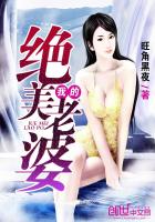 小说：我的绝美老婆，作者：旺角黑夜