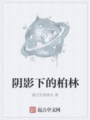 小说：阴影下的柏林，作者：最后的德意志