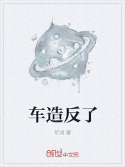 小说：车造反了，作者：听鸿