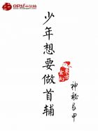小说：少年想要做首辅，作者：神秘马甲