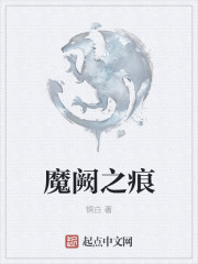 小说：魔阙之痕，作者：铜白