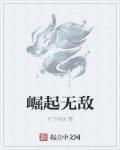 小说：崛起无敌，作者：月下吟风