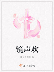 小说：镜声欢，作者：曦了个都都