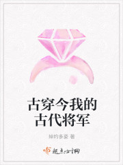 小说：古穿今我的古代将军，作者：绰约多姿