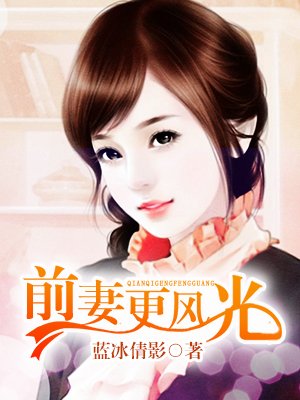 小说：前妻更风光，作者：蓝冰倩影
