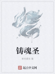 小说：乱世魂圣，作者：斯坦提克