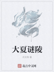 小说：大夏谜陵，作者：尚文杨