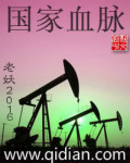 小说：国家血脉，作者：老妖2016