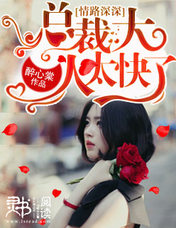 小说：情路深深，总裁大人太快了，作者：醉心棠