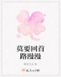 小说：莫要回首路漫漫，作者：睡莲江上
